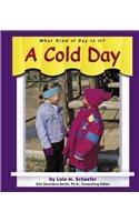 Stock image for A Cold Day for sale by Better World Books