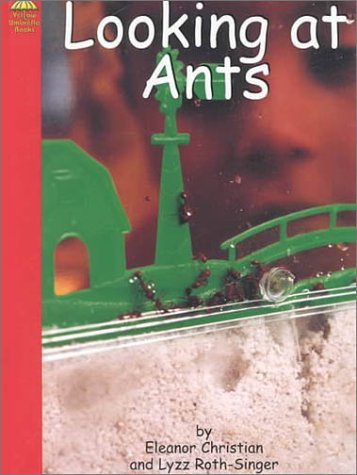 Imagen de archivo de Looking at Ants (Yellow Umbrella Books) a la venta por dsmbooks
