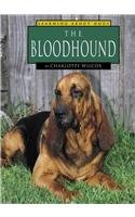 Imagen de archivo de The Bloodhound a la venta por Better World Books