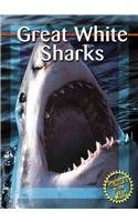 Beispielbild fr Great White Sharks zum Verkauf von Better World Books