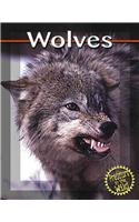 Wolves (Predators in the Wild) (9780736807883) by Welsbacher; Anne