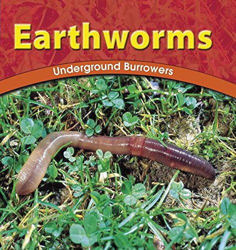 9780736808262: Earthworms: Underground Burrowers (The Wild World of Animals)  - Richardson, Adele D.: 0736808264 - AbeBooks