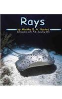 Stock image for Rays for sale by Better World Books