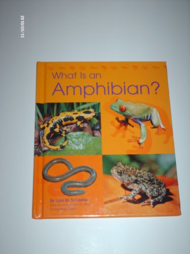 What Is an Amphibian? (Pebble Books) (9780736808637) by Schaefer, Lola M.; Saunders-Smith, Gail