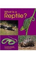 Stock image for What Is a Reptile? (Pebble Books) for sale by ZBK Books