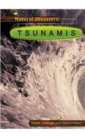 Beispielbild fr Tsunamis zum Verkauf von Library House Internet Sales