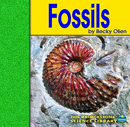 Fossils (Bridgestone Science Library Exploring the Earth) (9780736809511) by Olien, Rebecca; Aberg, Rebecca