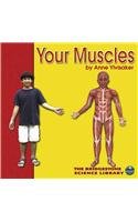 Beispielbild fr Your Muscles zum Verkauf von Better World Books