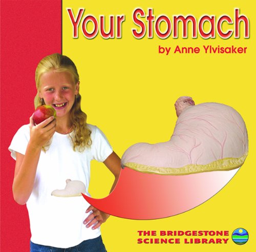 Beispielbild fr Your Stomach zum Verkauf von Better World Books