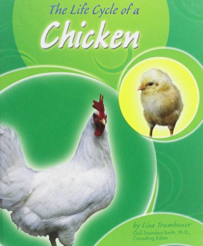 Imagen de archivo de The Life Cycle of a Chicken a la venta por Better World Books