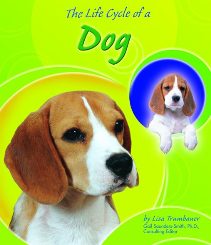 Stock image for The Life Cycle of a Dog for sale by Better World Books