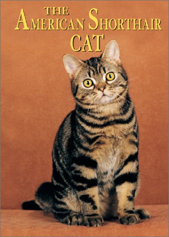 9780736813006: The American Shorthair Cat