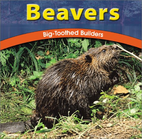 Beavers: Big-Toothed Builders (Wild World of Animals) (9780736813921) by Sullivan, Jody; Rake, Jody Sullivan