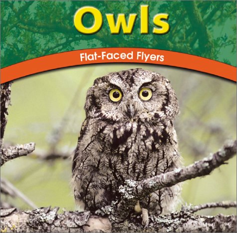 Stock image for Owls: Flat-Faced Flyers for sale by ThriftBooks-Atlanta