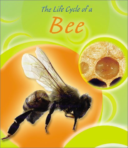 9780736814508: The Life Cycle of a Bee (Life Cycles)