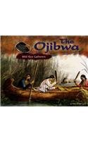 Stock image for The Ojibwa: Wild Rice Gatherers (Blue Earth Books: America's First Peoples) for sale by SecondSale