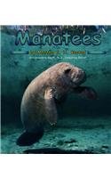 Beispielbild fr Manatees zum Verkauf von Better World Books: West