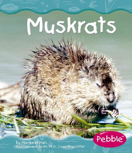 Beispielbild fr Muskrats (Pebble Books) zum Verkauf von Front Cover Books