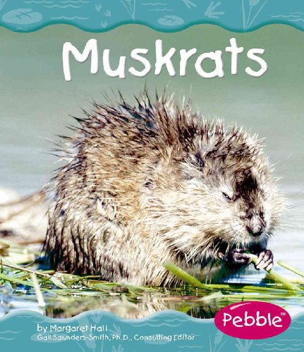 Stock image for Muskrats for sale by ThriftBooks-Dallas