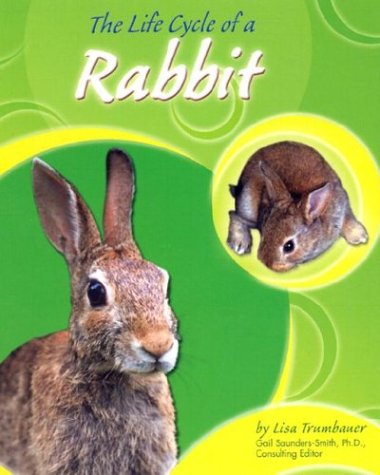 Stock image for The Life Cycle of a Rabbit (Life Cycles) for sale by Ergodebooks
