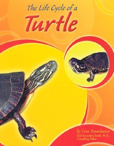 Imagen de archivo de The Life Cycle of a Turtle a la venta por Better World Books