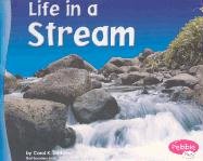 Imagen de archivo de Life in a Stream a la venta por Better World Books