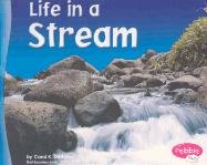 9780736821032: Life in a Stream (Pebble Plus)