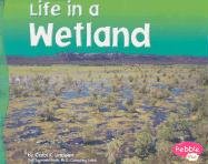 Stock image for Life in a Wetland for sale by Better World Books