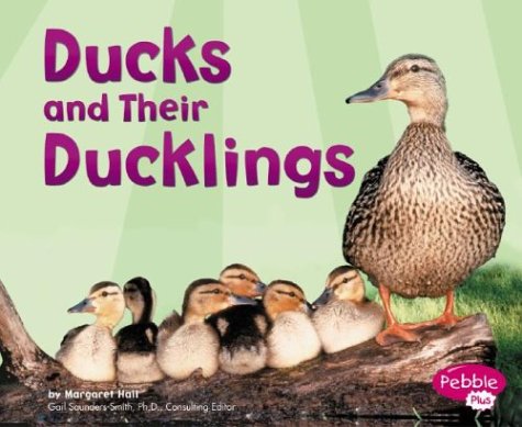 Imagen de archivo de Ducks and Their Ducklings a la venta por Better World Books