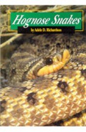Stock image for Hognose Snakes for sale by ThriftBooks-Atlanta