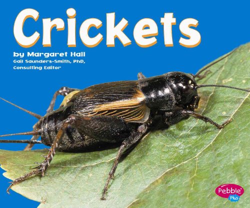 Stock image for Crickets (Pebble Plus) for sale by Ergodebooks