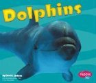 Stock image for Dolphins for sale by Better World Books: West