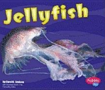 Stock image for Jellyfish (Pebble Plus) for sale by Front Cover Books
