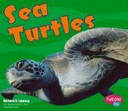Stock image for Sea Turtles (Pebble Plus) for sale by Front Cover Books
