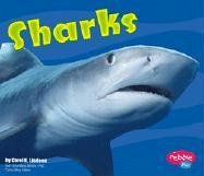 Stock image for Sharks for sale by Better World Books