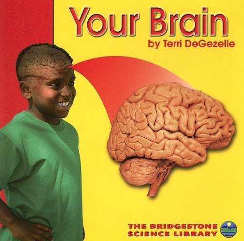Beispielbild fr Your Brain (Your Body) zum Verkauf von Blue Vase Books