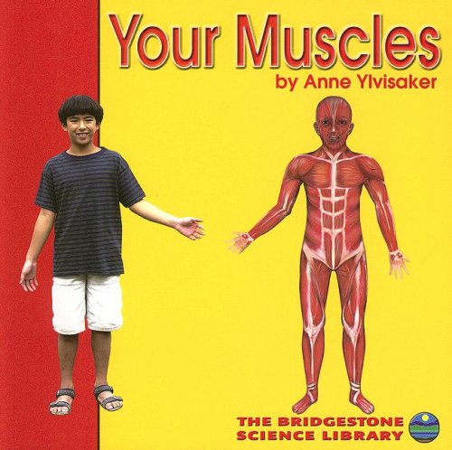 Beispielbild fr Your Muscles zum Verkauf von Books of the Smoky Mountains