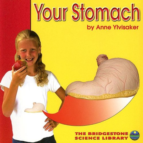 Beispielbild fr Your Stomach (Your Body) zum Verkauf von HPB Inc.