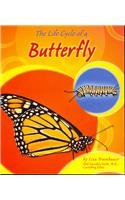 Stock image for The Life Cycle of a Butterfly for sale by ThriftBooks-Dallas