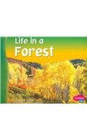 9780736834001: Life in a Forest (Pebble Plus: Living In A Biome)