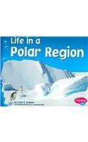 Stock image for Life in a Polar Region (Living in a Biome) for sale by SecondSale