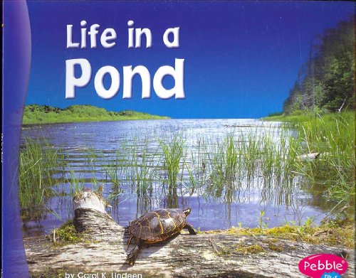 Stock image for Life in a Pond (Living in a Biome) for sale by SecondSale