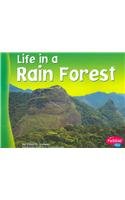 9780736834032: Life in a Rain Forest (Pebble Plus: Living In A Biome)