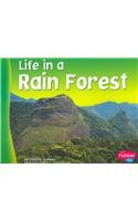 9780736834032: Life in a Rain Forest