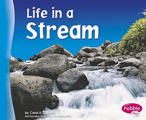 Stock image for Life in a Stream (Living in a Biome) for sale by SecondSale