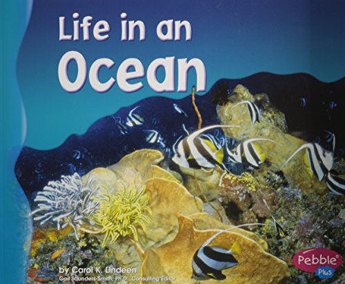 Imagen de archivo de Life in an Ocean a la venta por Better World Books
