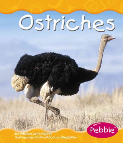 9780736836364: Ostriches (Pebble Books)