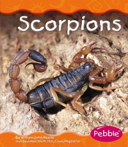Stock image for Scorpions for sale by Better World Books: West