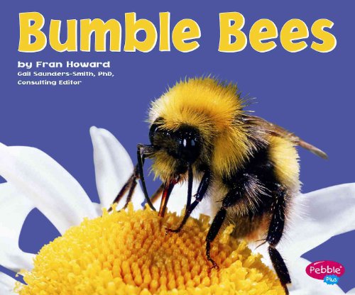 Stock image for Bumble Bees for sale by Better World Books