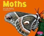 Stock image for Moths (Pebble Plus) for sale by -OnTimeBooks-